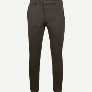 Chino griffin bruin